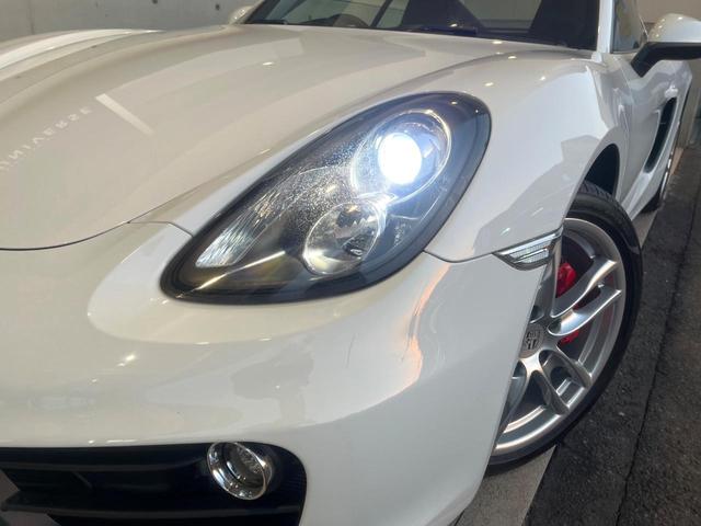 ���g�h�c�w�b�h���C�g�F�������L�Z�m���w�b�h���C�g�ŁA���S�^�]���x����ǍD�Ȏ��E���I