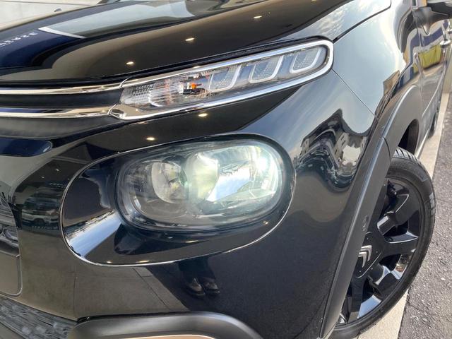 ���k�d�c�w�b�h���C�g�����ꂢ�ȏ�Ԃł��B