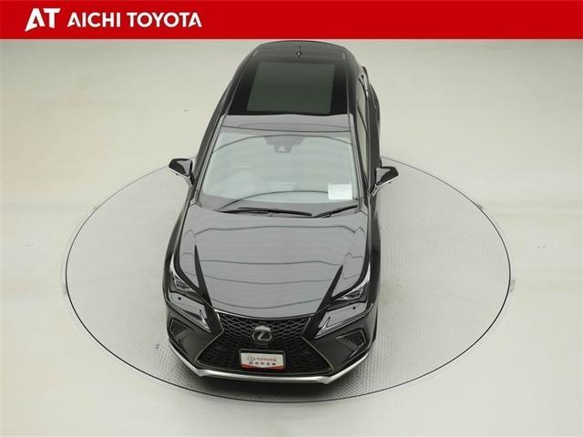 NX NX300 Fスポーツ 衝突回避システム 革 キーレス 1オーナ AC100V電源 地デジ インテリキー オートエアコン バックモニター ナビ&TV 横滑り防止機能 盗難防止装置 ABS LEDライト クルーズコントロール(17枚目)