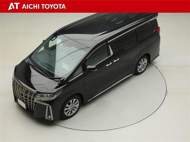 アルファード 2.5S タイプゴールドII ドライブレコーダ LEDランプ Bカメラ スマートキ AC100V フルセグTV 盗難防止システム ワンオーナー ダブルエアコン 助手席エアバッグ ETC オートクルーズ 3列シート メモリーナビ(10枚目)