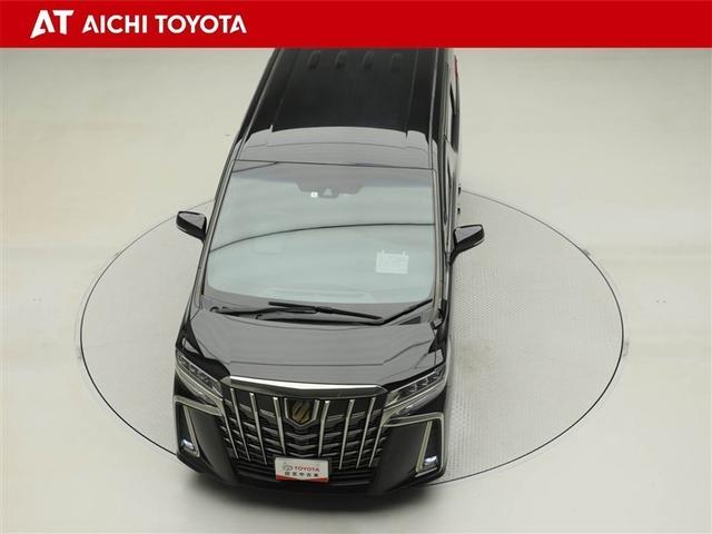 アルファード 2.5S タイプゴールドII ドライブレコーダ LEDランプ Bカメラ スマートキ AC100V フルセグTV 盗難防止システム ワンオーナー ダブルエアコン 助手席エアバッグ ETC オートクルーズ 3列シート メモリーナビ(17枚目)