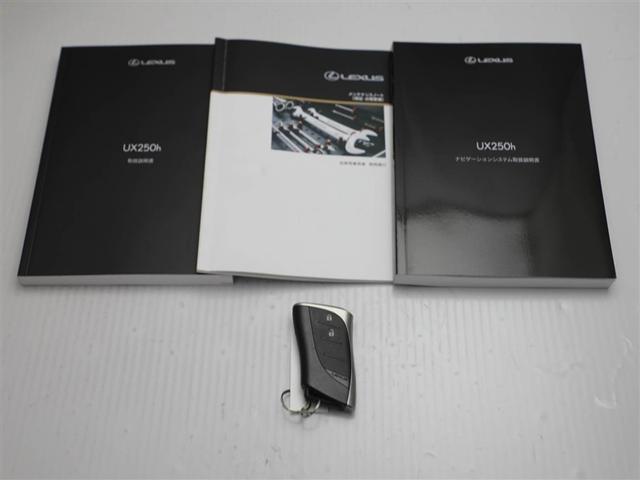 UX UX250h バージョンC ドラレコ バックモニター 地デジ 盗難防止システム LED キーレス ETC AUX スマートキー ナビ&TV 電動シート ESC アルミホイール DVD メモリーナビ ABS エアバッグ(29枚目)