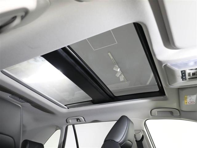 �����ɐS�n�����������^���Ă���郀�[�����[�t�ł��B�L�����v�Ő���𒭂߂��܂��I