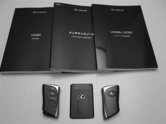 ＵＸ ＵＸ２００　Ｆスポーツエモーショナルエクスプローラ（30枚目）