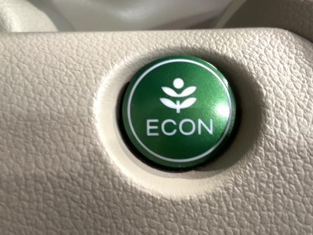 N-BOX G SSパッケージ 1年保証 社外ナビ ワンセグ Rカメラ シ-トヒ-タ- ETC VSA スマ-トキ- 盗難防止装置 整備記録簿 ベンチシ-ト ドアバイザ- Wエアバッグ AAC(14枚目)