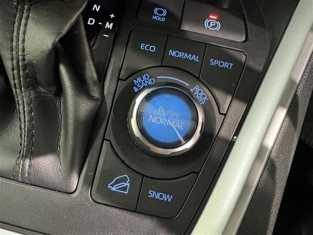 RAV4 G Zパッケージ 衝突被害軽減システム メモリーナビ フルセグ バックカメラ ETC ドラレコ ミュージックプレイヤー接続可 電動シート オートクルーズコントロール LEDヘッドランプ スマートキー キーレス 4WD(22枚目)