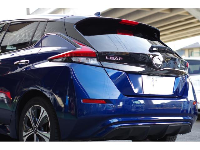 リーフ Ｘ　Ｖセレクション　ワンオーナープロパイロット　アラウンドビューＭ　コネクトナビ／フルセグＴＶ／Ｂｌｕｅｔｏｏｔｈ／ミラーリング／ＨＤＭＩ／ＵＳＢ／ＥＴＣ２．０　インテリキー２個　寒冷地仕様／全席シート＆ハンドルヒーター（22枚目）