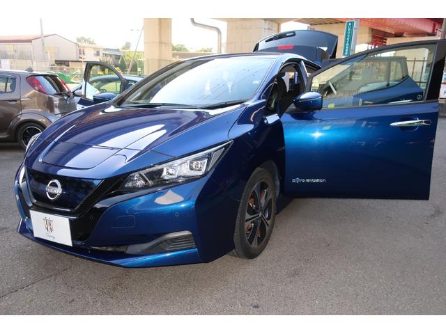 リーフ Ｘ　Ｖセレクション　ワンオーナープロパイロット　アラウンドビューＭ　コネクトナビ／フルセグＴＶ／Ｂｌｕｅｔｏｏｔｈ／ミラーリング／ＨＤＭＩ／ＵＳＢ／ＥＴＣ２．０　インテリキー２個　寒冷地仕様／全席シート＆ハンドルヒーター（74枚目）