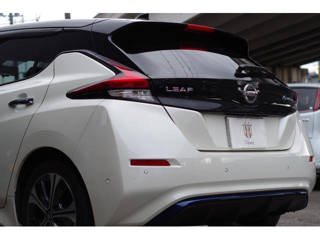 リーフ Ｇ　本革シート　ＢＯＳＥサウンド＋７スピーカー　ＬＥＤヘッド＆フォグ　プロパイロット　アラウンドビューモニター　コネクトナビ／地デジ／Ｂｌｕｅｔｏｏｔｈ／ＨＤＭＩ／ＥＴＣ２．０　ＢＳＭ　衝突軽減ブレーキ（19枚目）