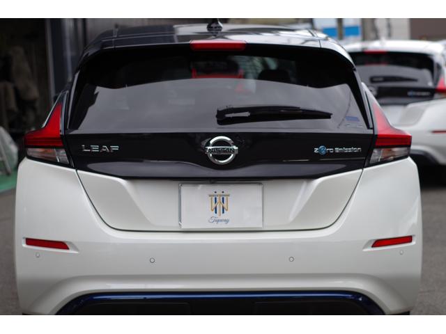 リーフ Ｇ　本革シート　ＢＯＳＥサウンド＋７スピーカー　ＬＥＤヘッド＆フォグ　プロパイロット　アラウンドビューモニター　コネクトナビ／地デジ／Ｂｌｕｅｔｏｏｔｈ／ＨＤＭＩ／ＥＴＣ２．０　ＢＳＭ　衝突軽減ブレーキ（20枚目）