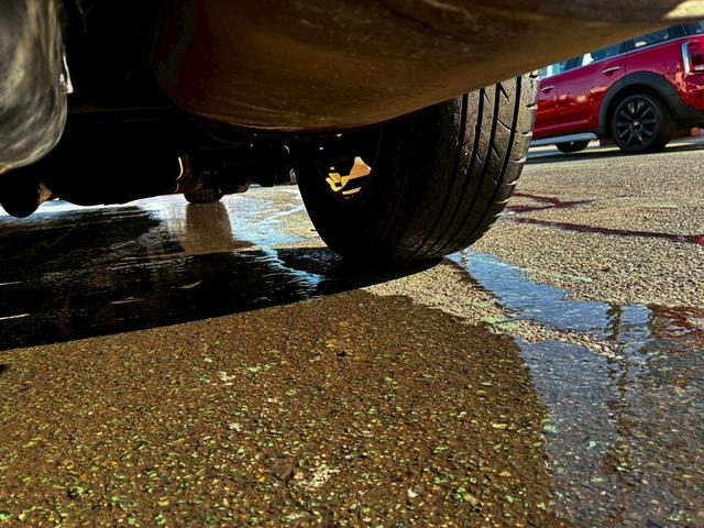 マスタング 　ディーラー車　記録簿　純正アルミ　ベージュレザーシート　新車取説保証書　スペアキー　プラグ交換済み記録簿６枚（55枚目）