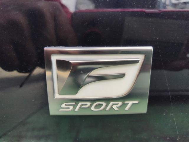 ＩＳ ＩＳ２５０　Ｆスポーツ　ＳＡＲＤ６速公認１５０台限定キット取付　ＩＳＦ純正１９ＡＷ　　テイン車高調　ＨＫＳスーパーチャージャー　ブリッツスロットルＣ　スルガマフラー　ステンエキマニ　　２８０ＰＳ　ＥＴＣ　ドラレコ　禁煙（44枚目）