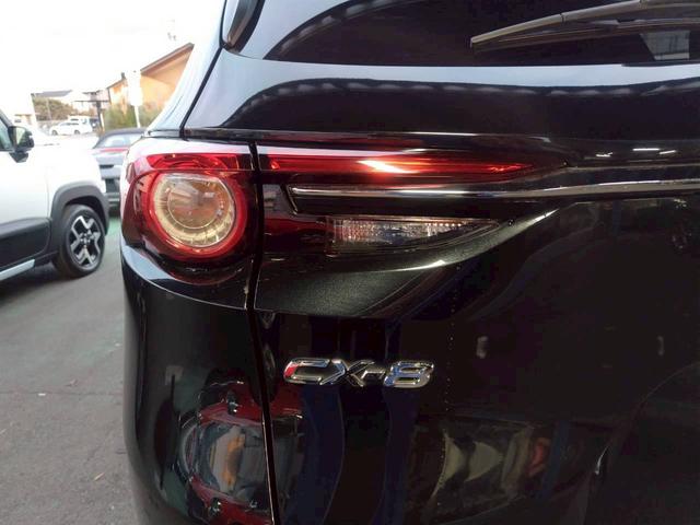 ＣＸ－８ ＸＤ　マツダコネクトナビ　ＢＴオーディオ　Ｂカメラ　ＥＴＣ　レーダークルーズコントロール　禁煙車　スマートキー２個　新車取説保証書（25枚目）