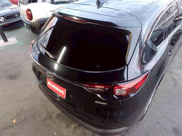 ＣＸ－８ ＸＤ　マツダコネクトナビ　ＢＴオーディオ　Ｂカメラ　ＥＴＣ　レーダークルーズコントロール　禁煙車　スマートキー２個　新車取説保証書（29枚目）