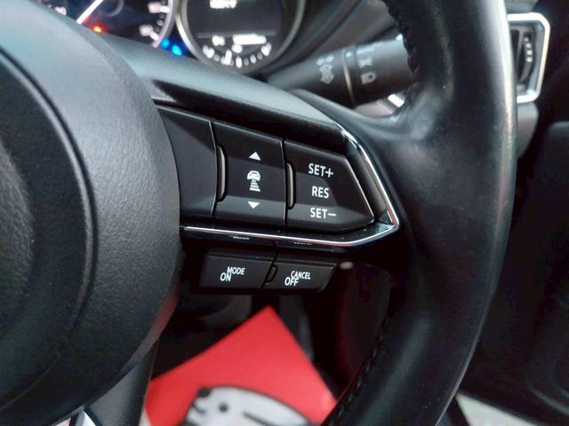 ＣＸ－８ ＸＤ　マツダコネクトナビ　ＢＴオーディオ　Ｂカメラ　ＥＴＣ　レーダークルーズコントロール　禁煙車　スマートキー２個　新車取説保証書（74枚目）