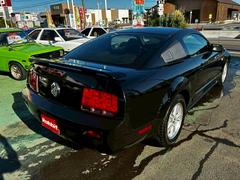 ޥ ǥ顼֡Ͽߡ١쥶 0200342A20251106W001 4