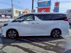 ����ե����� �������ӡ��åѥå���������ǥꥹ��������������ѥ���ʥӣԣ֡��£ԥ����ǥ��� 0200342A30260330W002 7