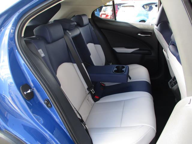 UX250h バージョンC 禁煙車 パノラミックビュー BSM PKSB 前席パワーシート LEDヘッドライト シート・ステアリングヒーター フロアマット リモートスタートベーシック(9枚目)