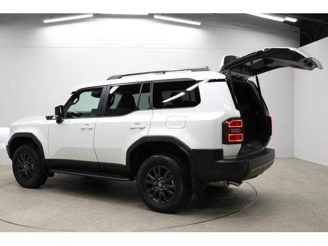 TOYOTA LAND CRUISER 250 VX