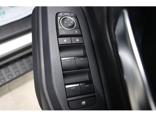 TOYOTA LAND CRUISER 250 VX