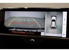 ���󥹥������ǿ����˼�ξ���󹹿��桪�Ǻ����μ�ξ�⤳���ǥ����å�������������������Ǹ����� 6