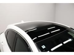 �Ǻܼ�ξ�ʳ��ˤ��б���ǽ�Ǥ�������˾�Υܥǥ������顼�����졼�ɡ������䥪�ץ�����ʹ�����������ޤ��� 3