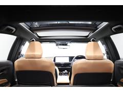 ����饤�����̤���դƤ���ޤ�����ξ���󡦥�����������˾�ʤ�Ǥ⤴���̤��������� 3