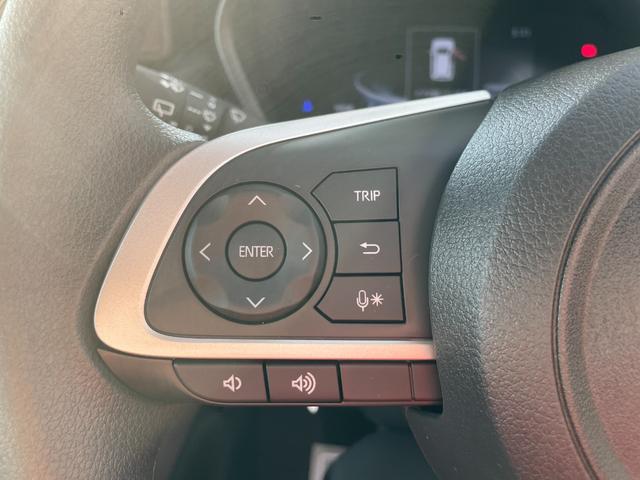 ライズ Ｇ　登録済未使用車　ナビレディパッケージ　衝突被害軽減ブレーキ　コーナーセンサー　スマートキー　アイドリングストップ　バックカメラ　電動格納ドアミラー　横滑り防止機能　パワーウインドウ　ＬＥＤヘッドライト（16枚目）