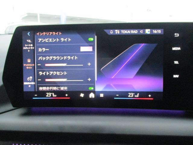 アンビエントライト装備です。各色から選択できます。