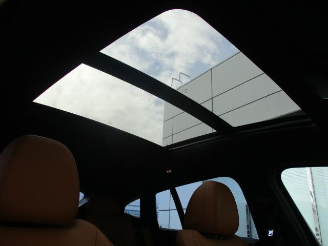 �T���t�[�t����