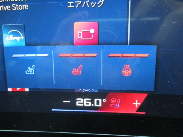 Ｍ５ Ｍ５　２０ＡＷ本革ＡＣＣ全方位カメラ純正ＴＶデモ禁煙　ＬＥＤヘッドライト　オートハイビーム　電動シート・ゲート　アップルカープレイ　ワイヤレスチャージ（29枚目）