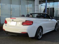 �����꡼�� �������饫�֥ꥪ�졡�ͥ��ݡ��ġ��������ס��Хå�����顡���ã��ܳ� 0200490A30251220W002 6