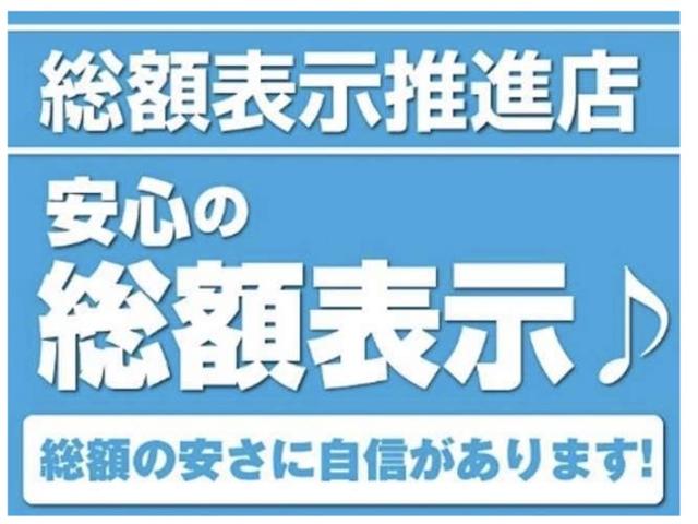 ラクティス Ｘ　走行５９７４１キロ・ナビ・地デジ・ＣＤ・ＤＶＤ・Ｂｌｕｅｔｏｏｔｈ・キーレス・ＥＴＣ・ＬＥＤライト・レベライザー・ウィンカーミラー・電格ミラー・シートリフター・ＰＶガラス・記録簿・取説（3枚目）