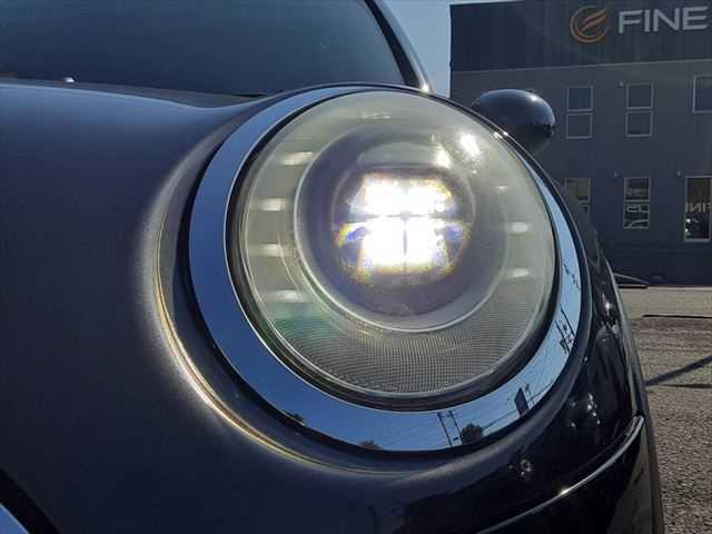 ���_�����w�b�h���C�g