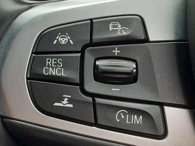 ５シリーズ ５３０ｉ　Ｍスポーツ　ハイラインパッケージ　パーキングアシストプラス　黒革シート　アラウンドビューモニター　純正タッチパネルナビ　アダプディブクルーズコントロール　ＨＵＤ　全席シートヒーター（35枚目）