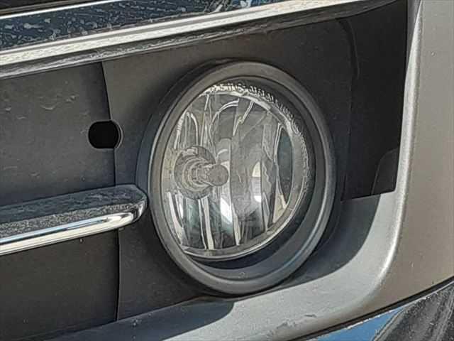 ���t�H�O�����v