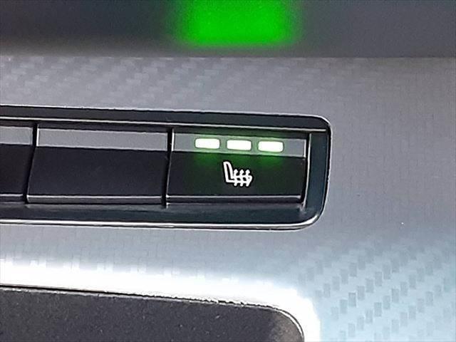 Z4 sDrive20i M Sport 本革 シートヒーター パワーシート 禁煙車(33枚目)
