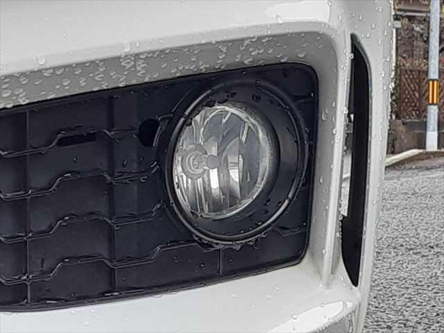 ���t�H�O�����v