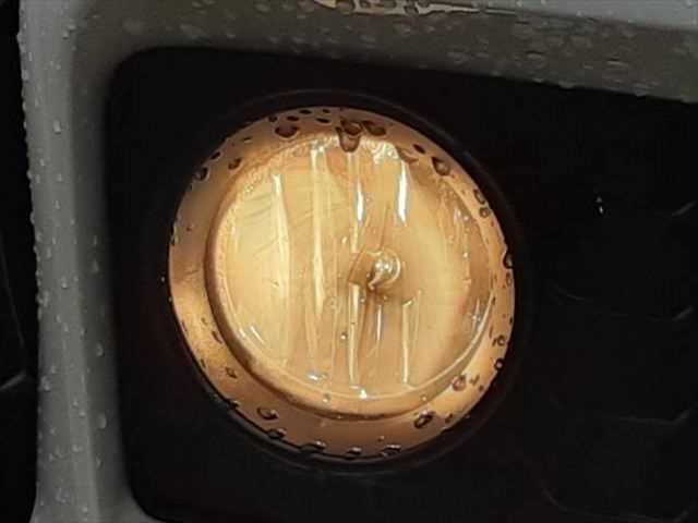 ���t�H�O�����v�_����