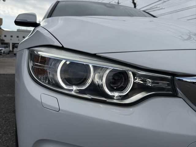 ���E�w�b�h���C�g