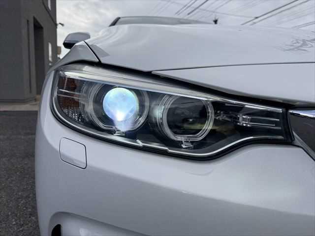 ���E�w�b�h���C�g�_����