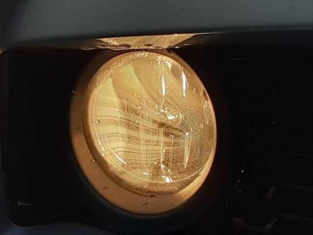 ���_�����t�H�O�����v