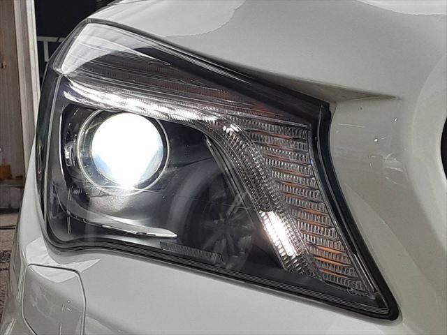 ���_�����w�b�h���C�g