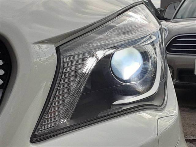 ���_�����w�b�h���C�g