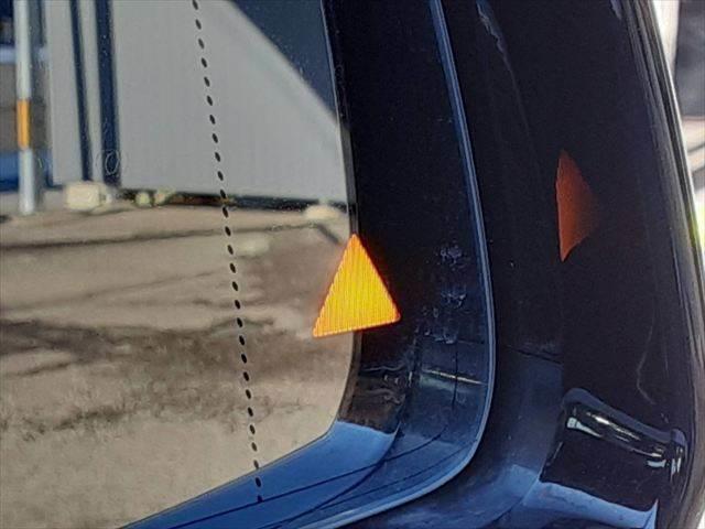 ���u���C���h�X�|�b�g���j�^�[