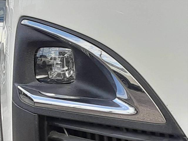 ���t�H�O�����v