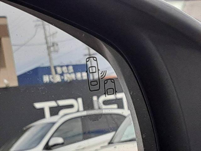 ���u���C���h�X�|�b�g���j�^�[