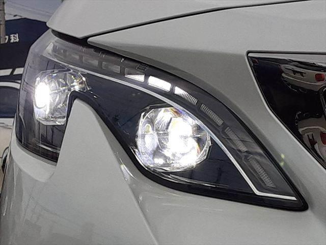 ���w�b�h���C�g�_����