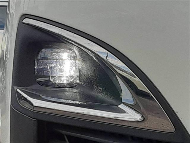 ���t�H�O�����v�_����