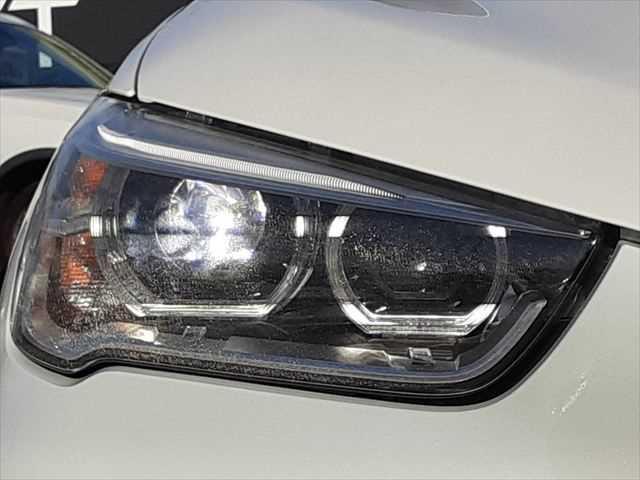 ���E�w�b�h���C�g�_����